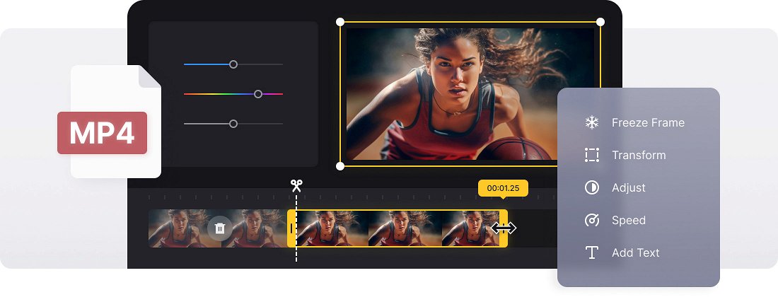Crop MP4 Video