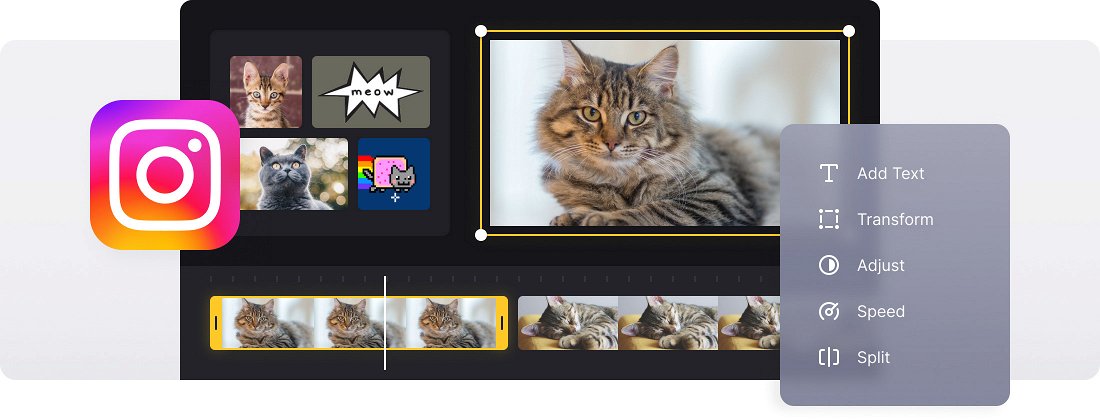 Instagram GIF Maker