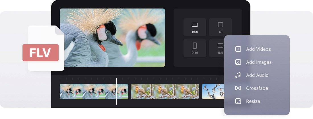 Merge FLV