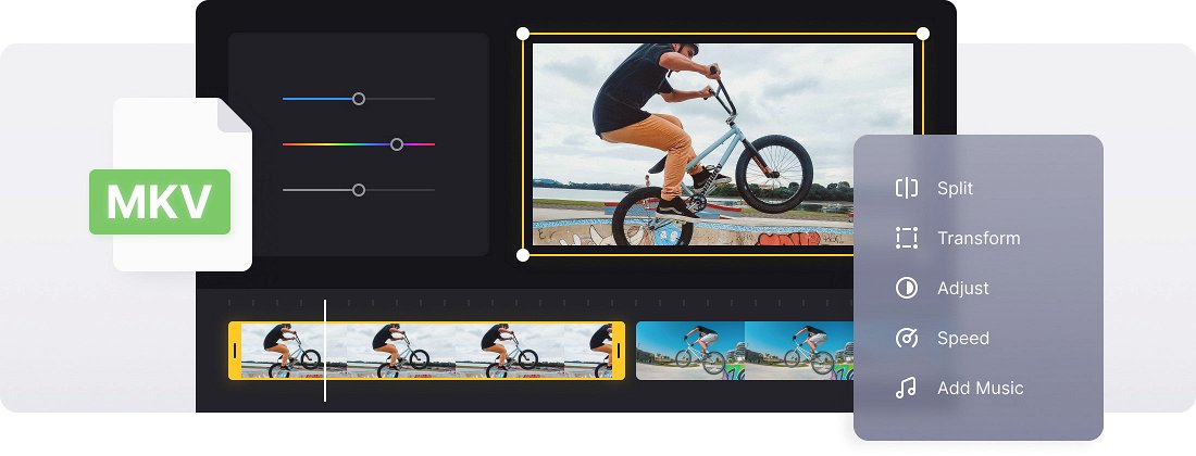 MKV Editor