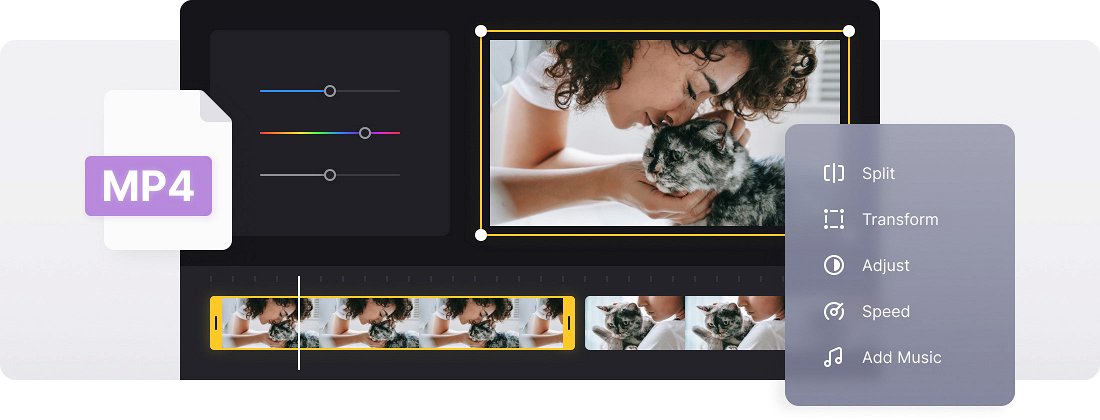 MP4 editor