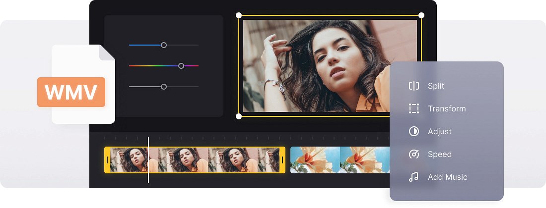 WMV Editor