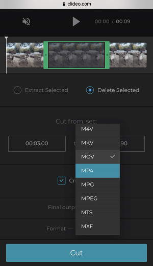 Change format of part of iPhone video