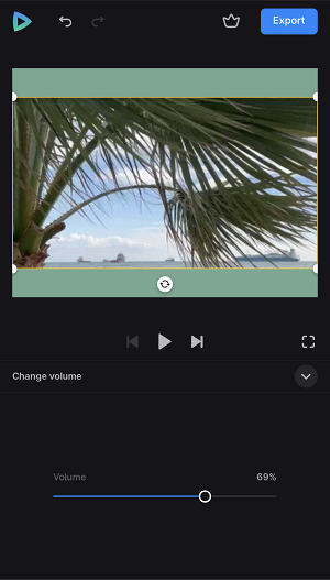 Change volume in iPhone video