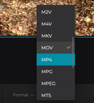 Change format of timelapse video