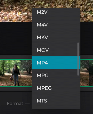 Change format of shorter video for Instagram