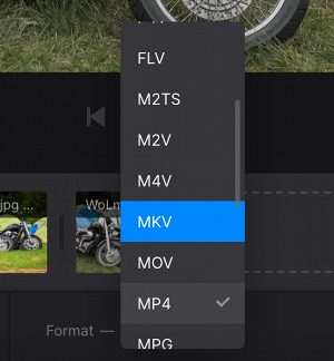 Change format of slideshow with music