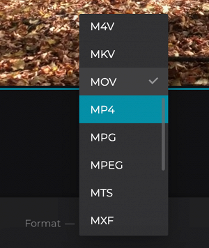 Convert stop motion video on Android Change format of stop motion video on Android
