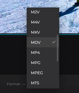 Change format of stop motion clip