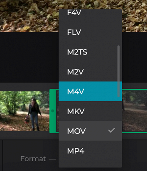 Change format of trimmed video on Windows
