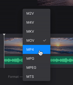 Convert video with replaced audio