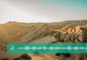 How to slow down or speed up audio in a video