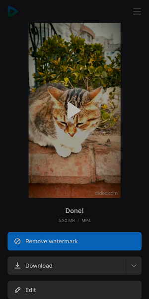 Save video with vignette effect