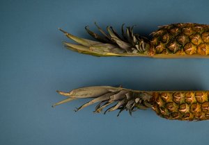 What is the meaning of crop factor