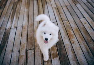 What is the right aspect ratio for Instagram