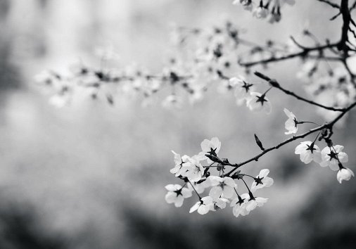 How to Add Black and White Effect to Video