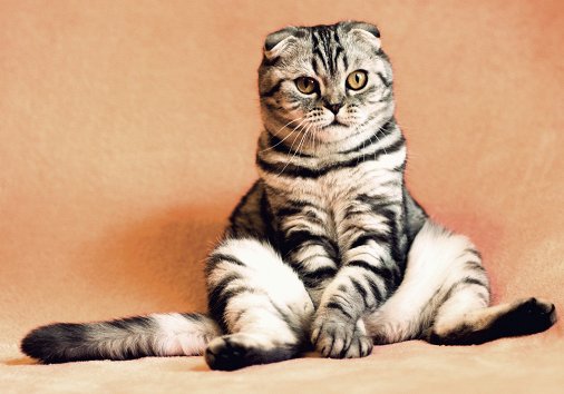 How to slow down an animated GIF