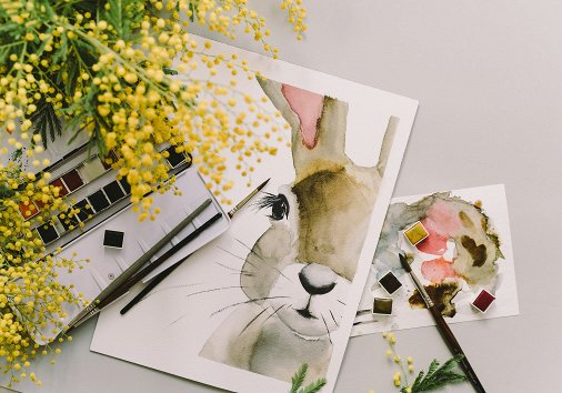 How to create videos with before and after images
