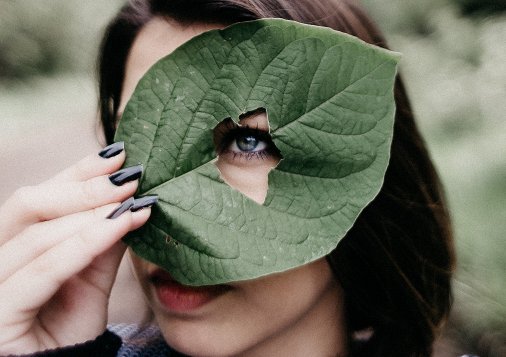How to make a whole picture fit on Instagram