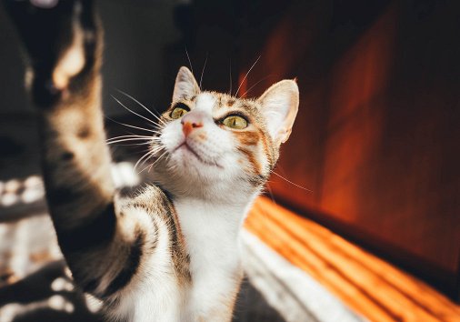 How to make and post reels on Instagram