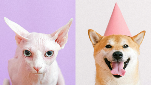 How to Make Side-by-Side Video
