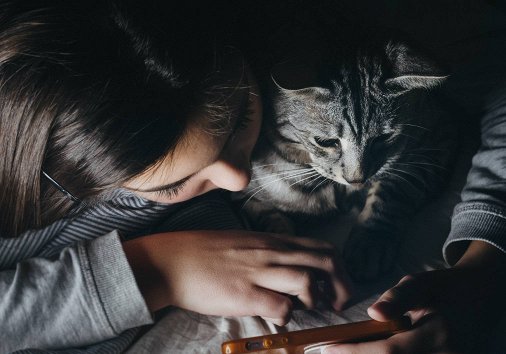 How to Post Videos on Pinterest