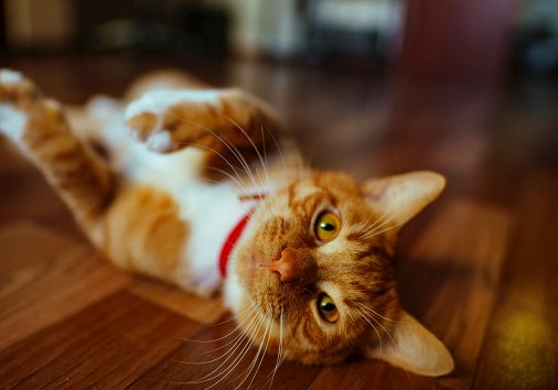 How to rotate sideways video