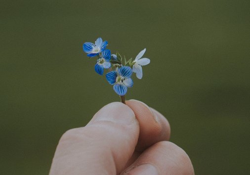 How to Use Online Video Compressor