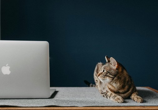 How to add voiceovers to a video: 2 ways