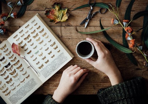 How to take flat lay photos