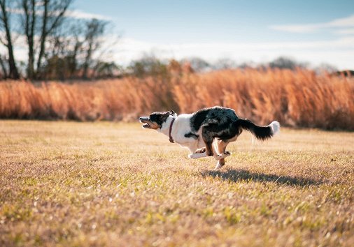 What is Motion Tracking in Video Editing