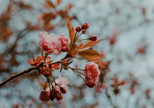 Selective focus definition