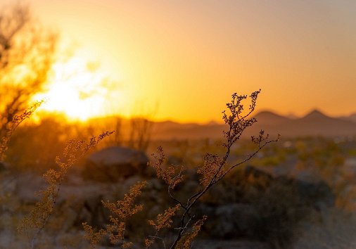 The Golden Hour photography tips
