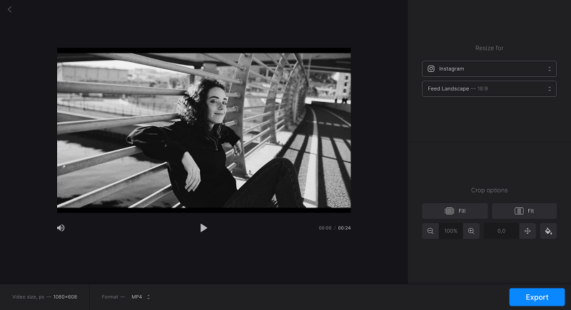 File in video resizer before changing aspect ratio Add file to video resizer to change aspect ratio