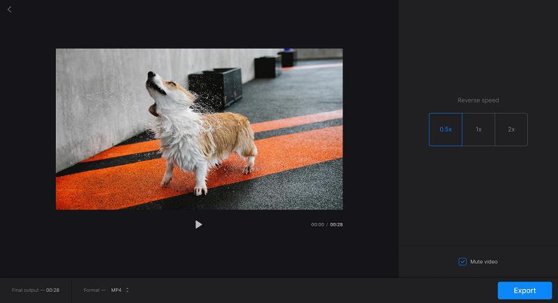 Add reverse playback effect