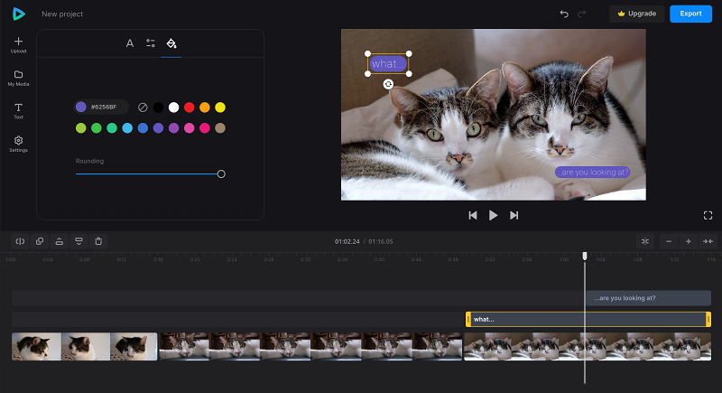Add text to animal video clip