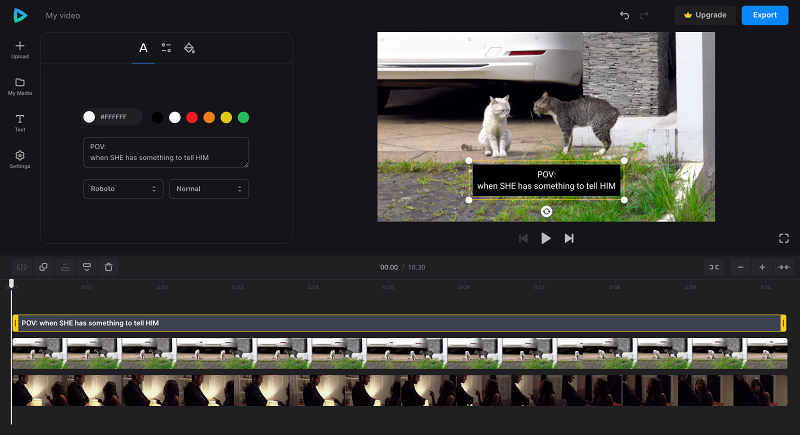 Create captions for video with new soundtrack Add texts to video with replaced sound