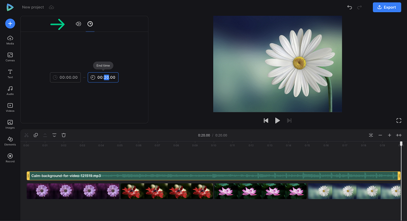 Adjust audio in picture video