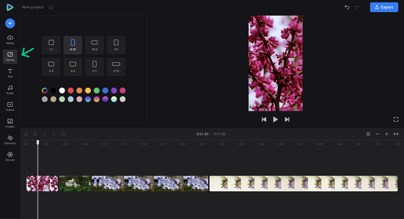 Adjust some settings of the created video for Instagram