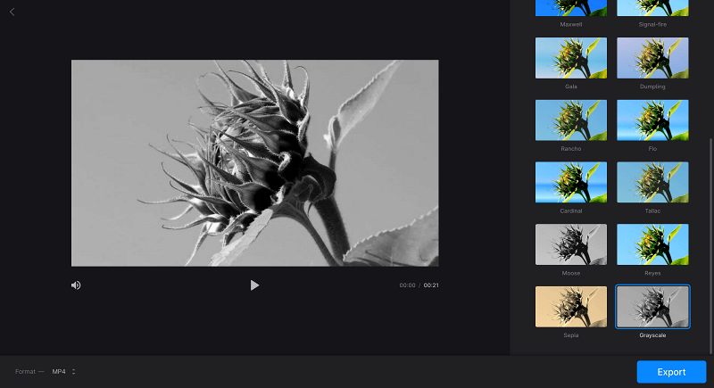 Apply grayscale filter to make black-and-white video