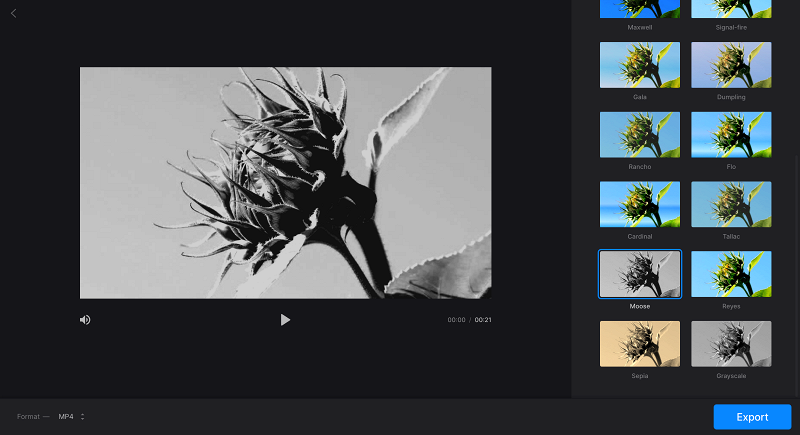 Apply moose filter to make black-and-white video