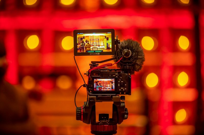 Camera monitor
