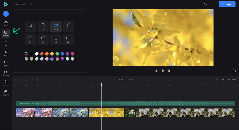 Canvas for audio with video