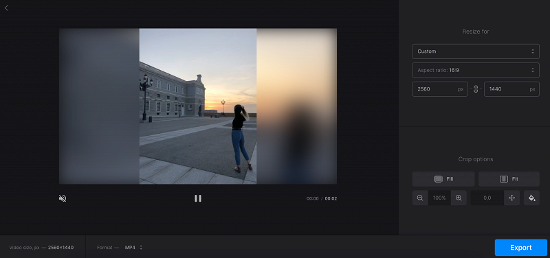Change aspect ratio of video or image