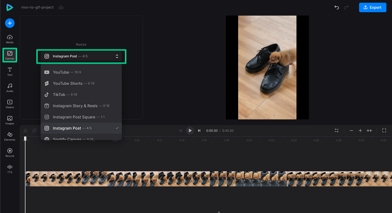 Change canvas in Clideo video editor Change canvas for MOV to GIF project