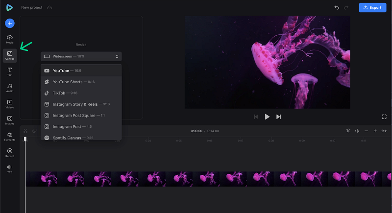 Change canvas for video with text overlay