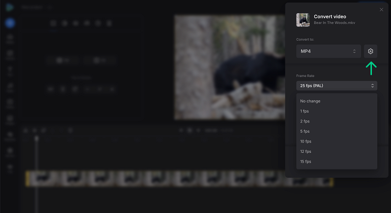 Change video frame rate