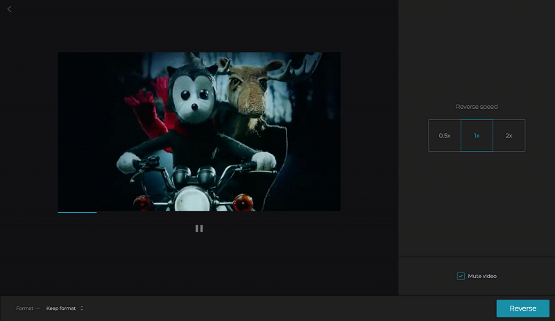 Adjust and play your video in reverse