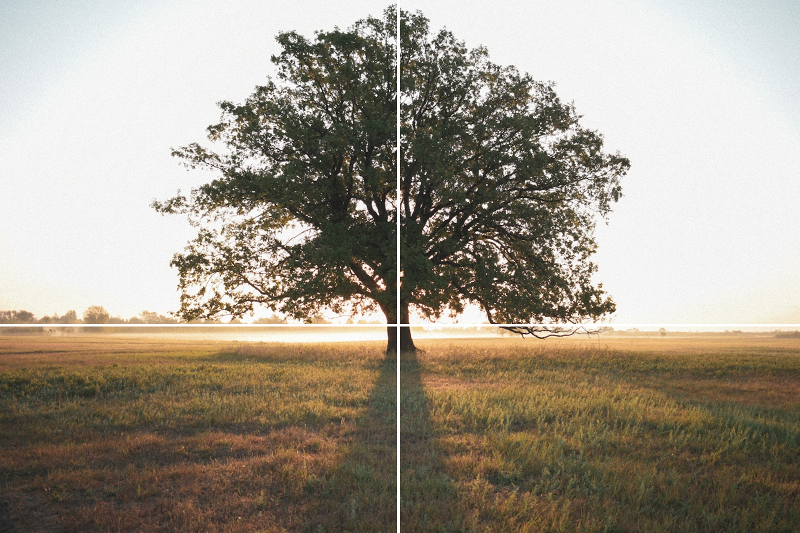 Composition in photography cross