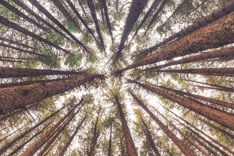 Composition in photography radiating